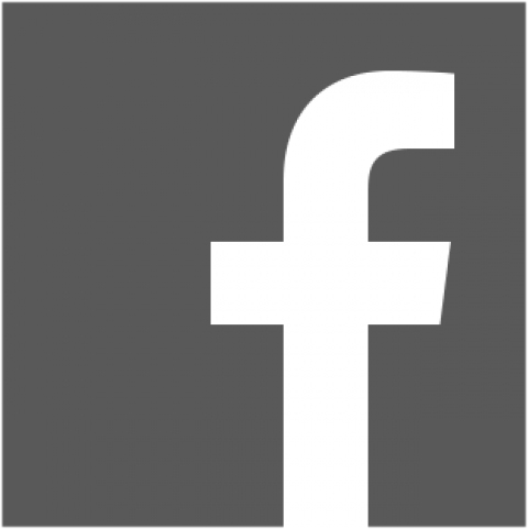 facebook_logo_grau